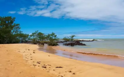 Descobrindo a Praia da Biologia: Um Paraíso Oculto em Aracruz 12 Praia da Biologia
