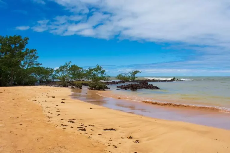 Praia da Biologia