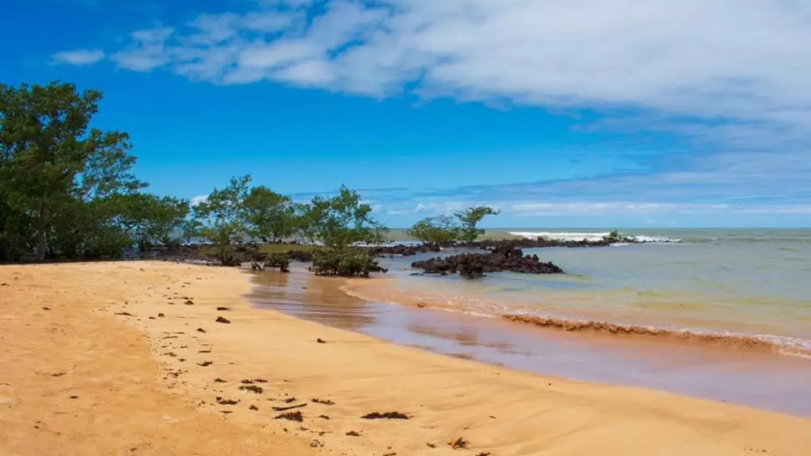 Praia da Biologia