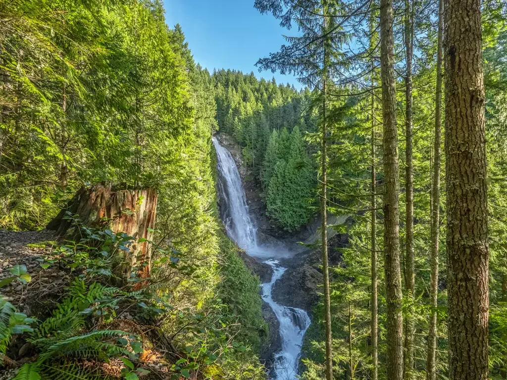 Foto de Zac Gudakov na Unsplash