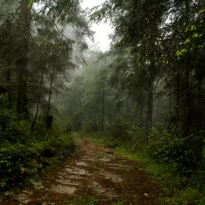 Natureza e Nostalgia Aventuras no Parque Nacional do Itatiaia