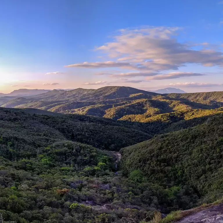 Serra Catarinense: Região atrai visitantes com turismo de vinho em 2024