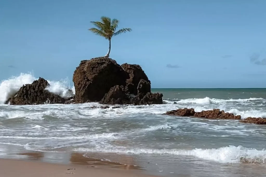  Praia de Tambaba Um Paraíso Naturista na Paraíba
