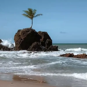Praia de Tambaba Um Paraíso Naturista na Paraíba