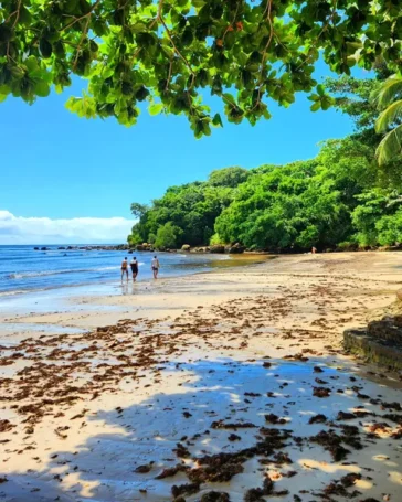 Ilha de Boipeba