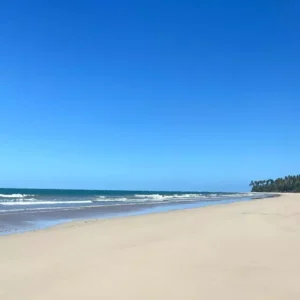 Ilha de Boipeba Um refúgio paradisíaco na Bahia (3)