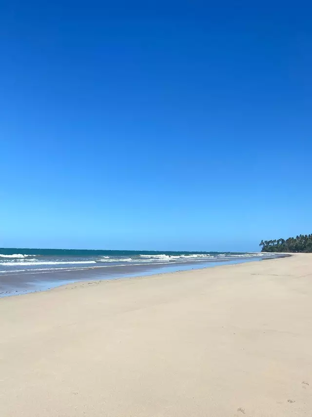 Ilha de Boipeba Um refúgio paradisíaco na Bahia (3)