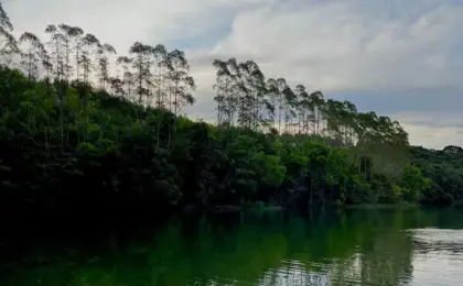 Lagoa das Palmas