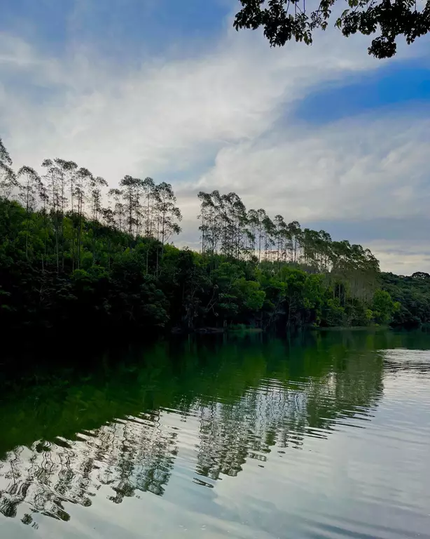 Lagoa das Palmas