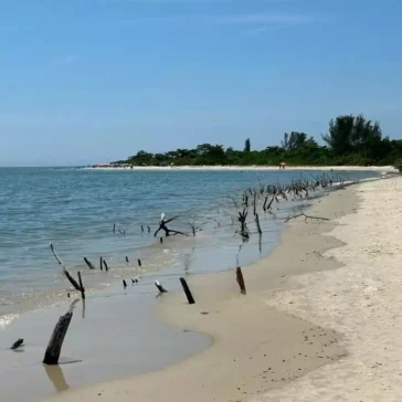 Praia da Daniela