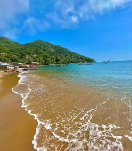 Praia de Picinguaba