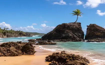 Praia de Tambaba: guia para conhecer o naturismo na Paraíba 24 Praia de Tambaba
