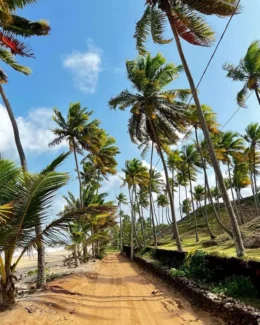 Praia de Tambaba