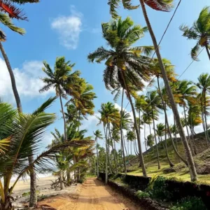 Praia de Tambaba