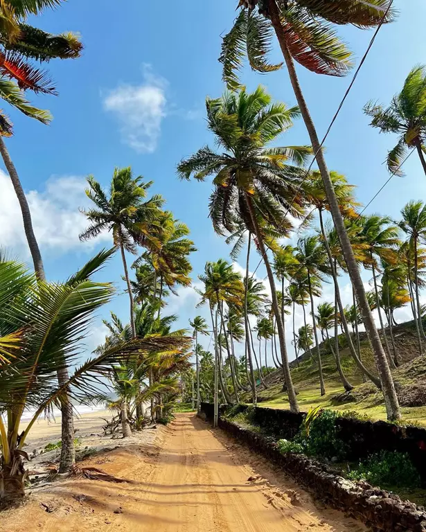 Praia de Tambaba