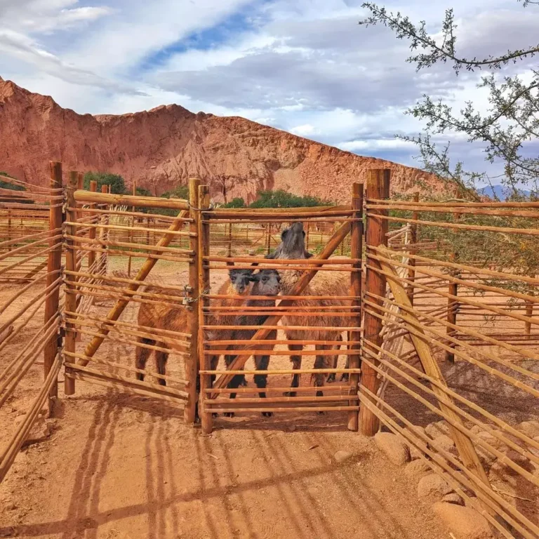 Deserto do Atacama: Uma Jornada Inesquecível pelas Maravilhas do Chile Antofagasta