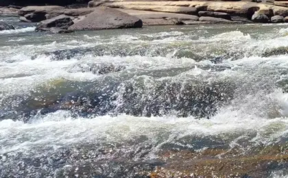 Cachoeira do Cubatão em Joinville: Um Paraíso Natural Escondido 12 Cachoeira do Cubatão em Joinville