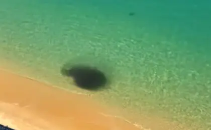 Vídeo: confira imagens do mar verde na Praia de Areia Preta em Guarapari 12 confira imagens do mar verde na Praia de Areia Preta em Guarapari