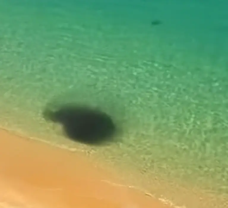 confira imagens do mar verde na Praia de Areia Preta em Guarapari