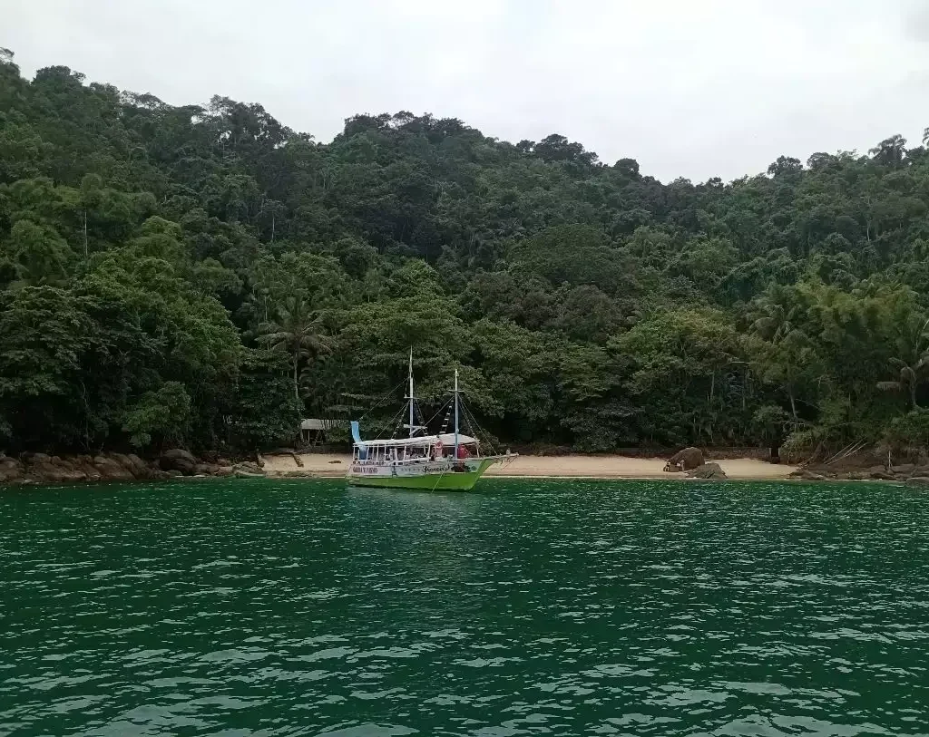 Ilha das Couves Foto: renata_ndias