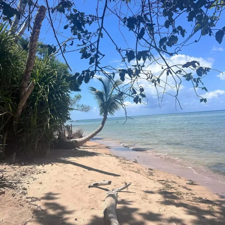 Ilha de Boipeba: Um refúgio paradisíaco na Bahia