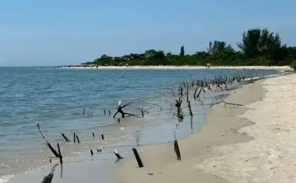 Praia da Daniela