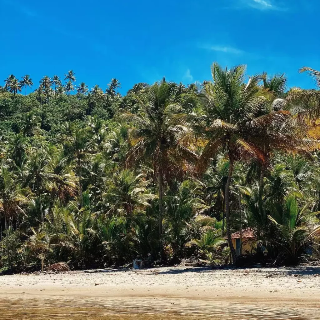 Praia de Jeribucaçu