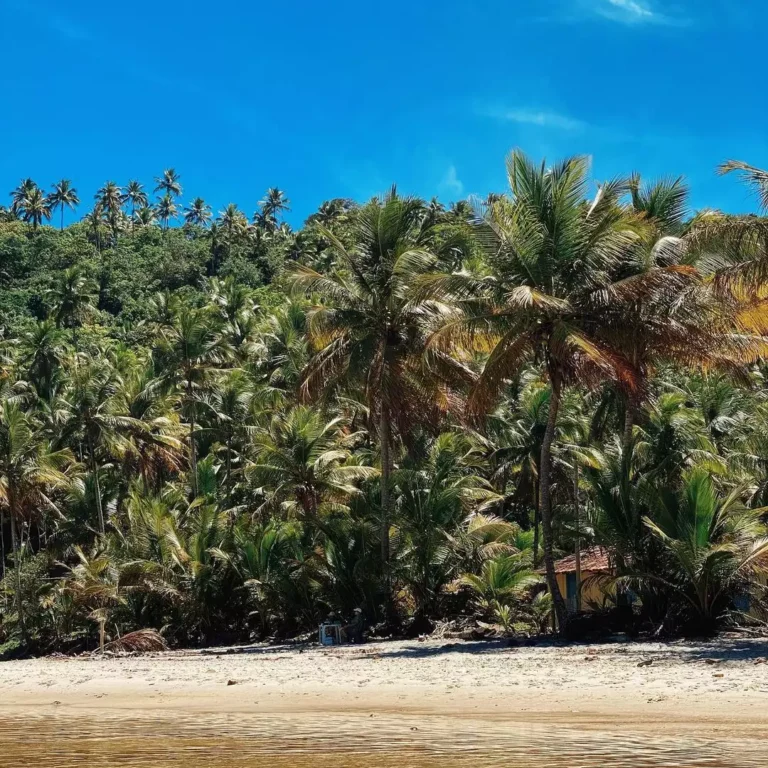 Praia de Jeribucaçu