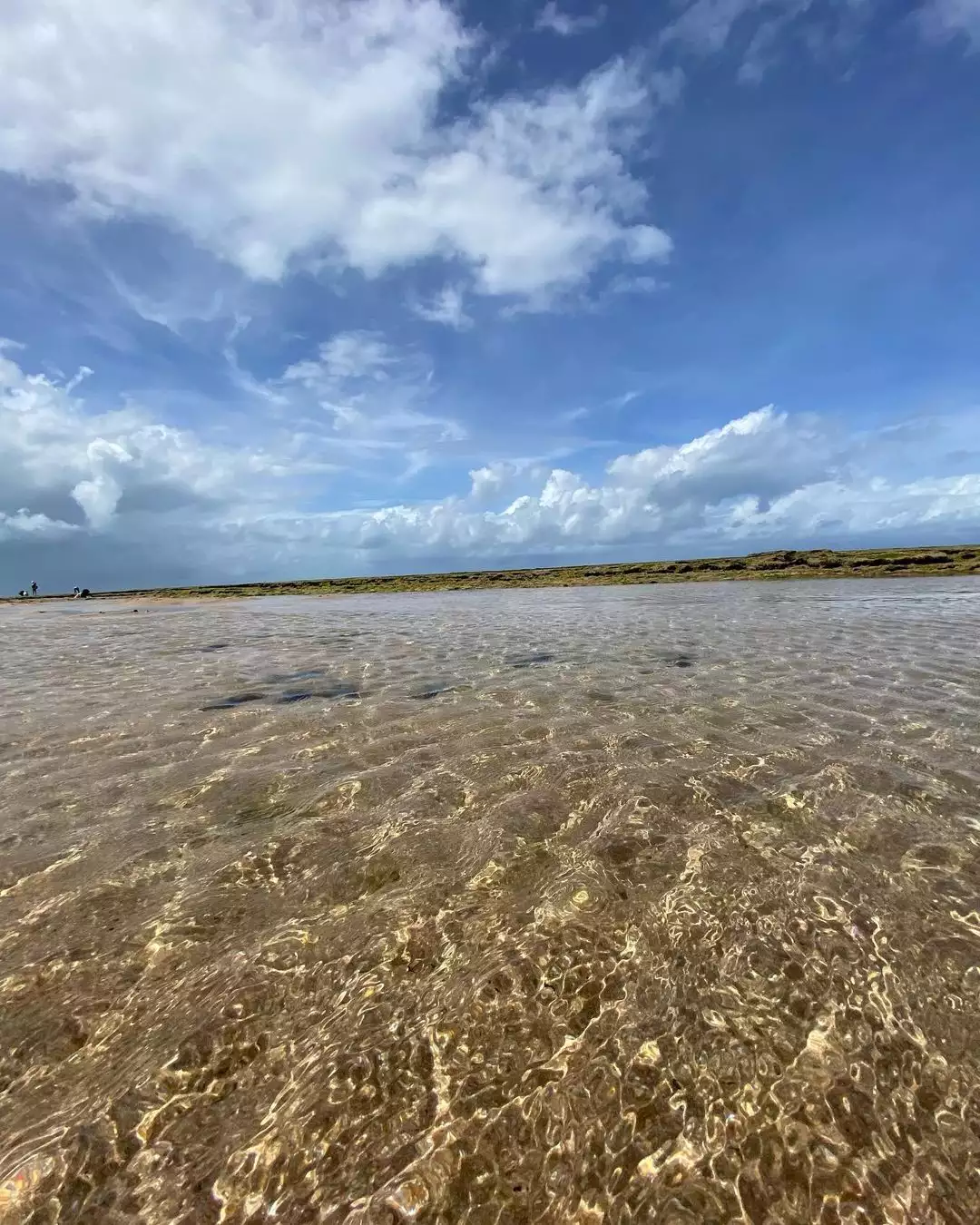Praia de Muro Alto com arrecifes e água calma em Ipojuca