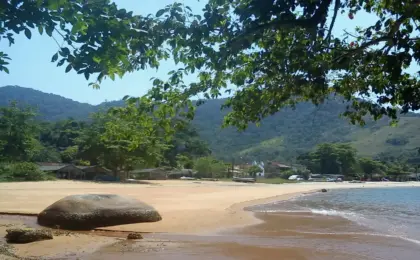 Praia de Tarituba em Paraty: Como Chegar e Dicas 11 Praia de Tarituba Paraty Beleza, Acesso e Dicas 2026