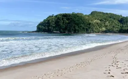 Praia do Prumirim: O Refúgio Encantado de Ubatuba 6 Praia do Prumirim