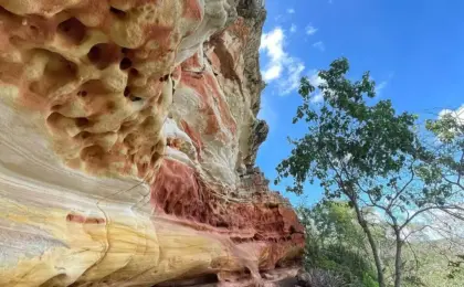 Vale do Catimbau: Conheça os Tesouros da Caatinga em Pernambuco em 2024 7 Vale do Catimbau