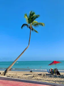 Alagoas Praias de Maceió