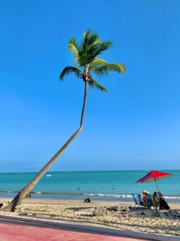 Alagoas Praias de Maceió