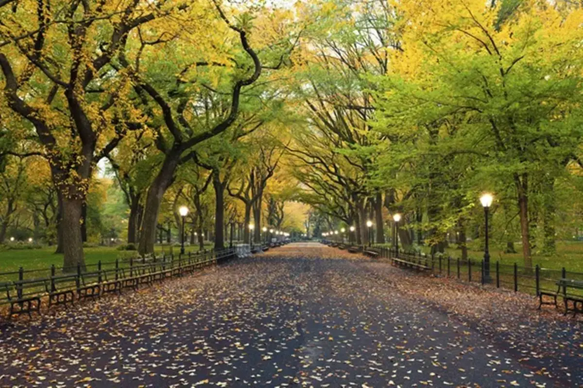 Esse é o Central Park que é um dos parques de Nova York mais famosos e requisitados. 