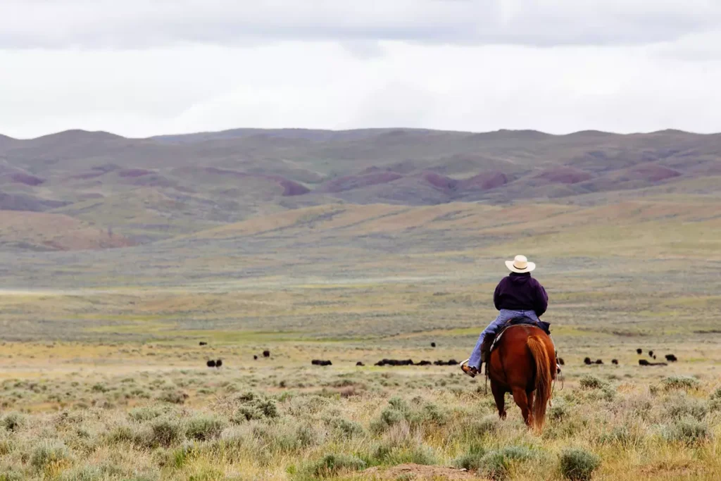 Explorando a Vastidao de Montana Uma Ode a Natureza e Historia