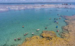 Recife de Fora