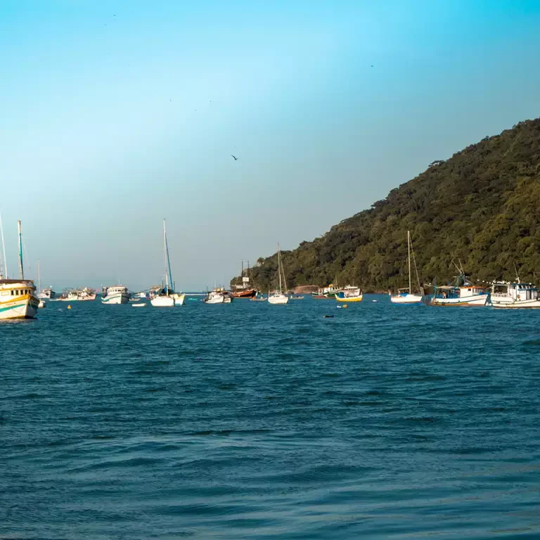 Bertioga: Um refúgio litorâneo com opções para todos os gostos