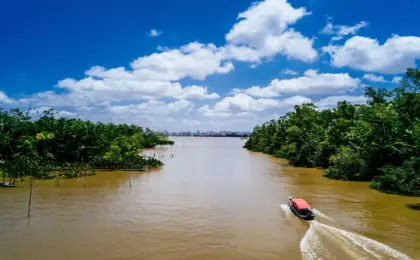Manaus
