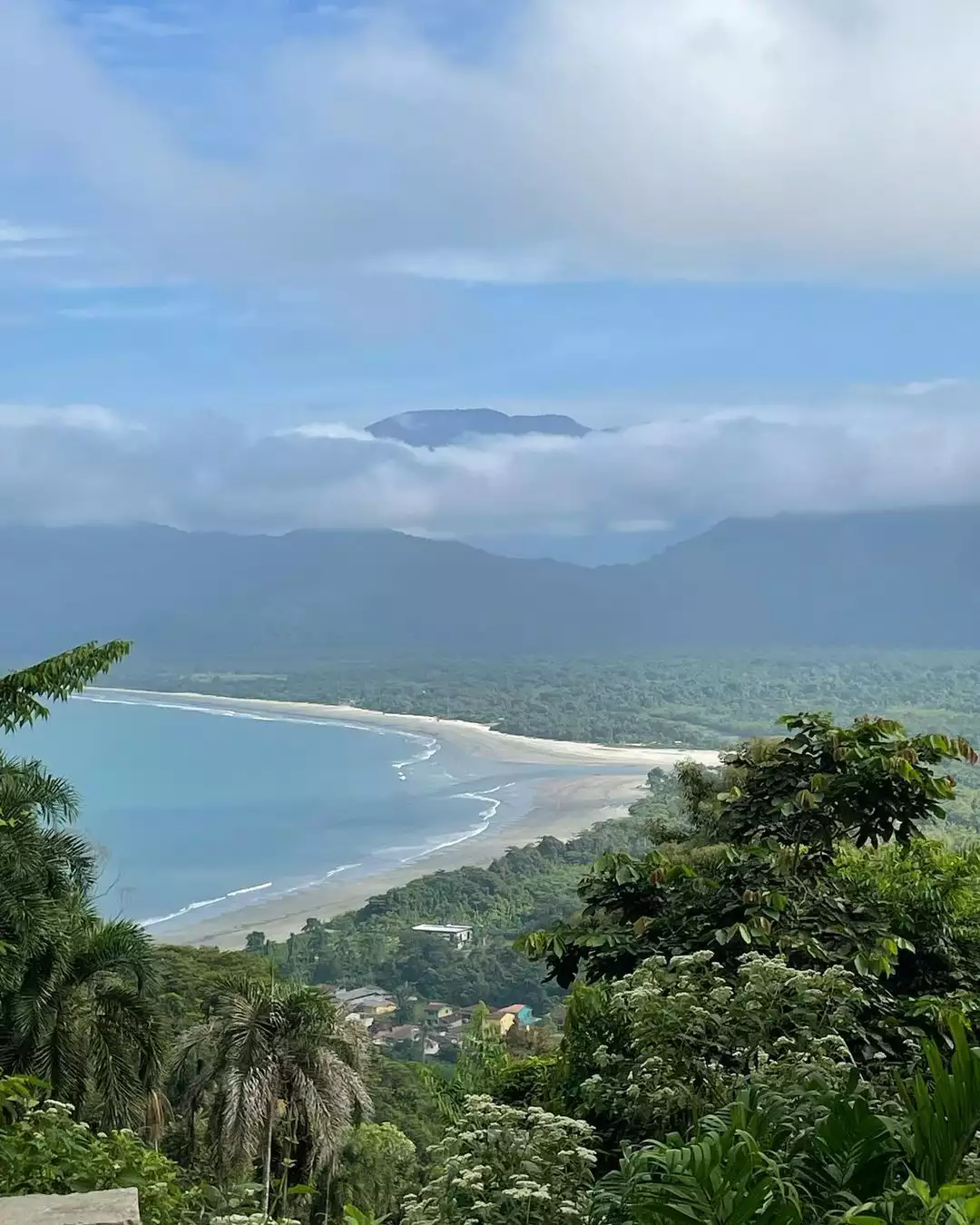 praias selvagens de Ubatuba com trilhas e Mata Atlântica