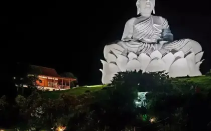 Mosteiro Zen Morro da Vargem: Refúgio de Paz e Meditação 10 Mosteiro Zen Morro da Vargem