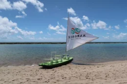 Praia dos Carneiros em Pernambuco