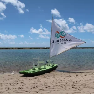 Praia dos Carneiros em Pernambuco