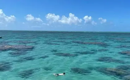Parrachos de Maracajaú Um paraíso natural no Rio Grande do Norte