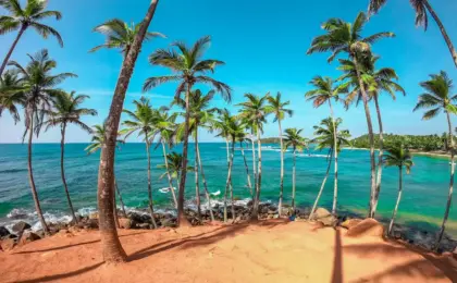 Sri Lanka: Paraíso Tropical Desvendado pelos Brasileiros em 2024 10 Sri Lanka