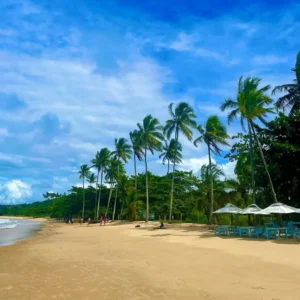 Descubra a Praia dos Coqueiros em Trancoso