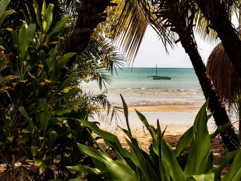 Ilha de Benguerra, Moçambique: Um Paraíso Marinho para Explorar