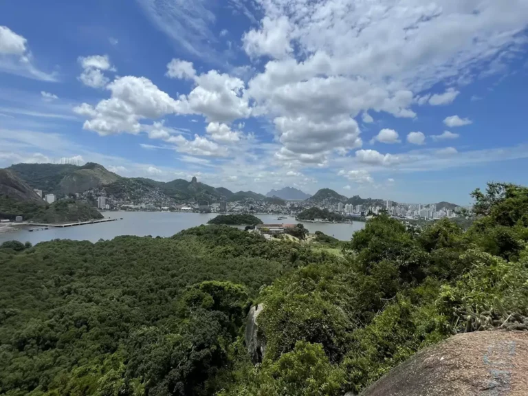 Manguezal do Parque da Manteigueira: Entre Lixo Flutuante e Beleza Natural em 2024