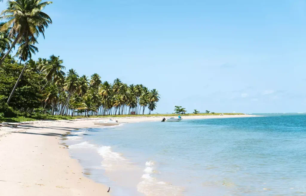 Melhores Praias no Brasil
Segredo para Viagens Incríveis e Baratas