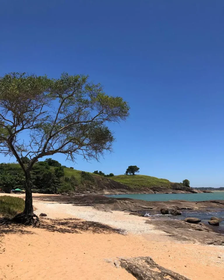 Descobrindo a Praia do Coqueiro: Um Paraíso Natural em Anchieta